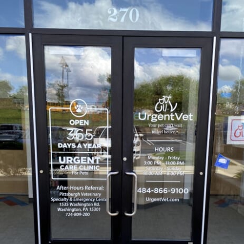 Window Graphics